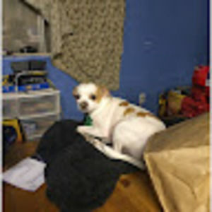 Meet your Posher, Anthony